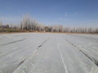 LAVALLE CENTRO Vendo finca de 8 hectáreas